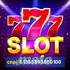 cnpj 51365893000100